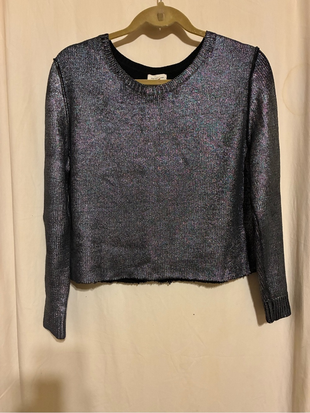 Silence + Noise Metallic Tinsel Knit Sweater